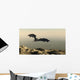 Dragon Flying over Mountain Wall Mural