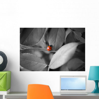 Ladybug Wall Mural shown on a wall
