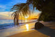 Tropical Beach Sunset Wall Decal Design 2