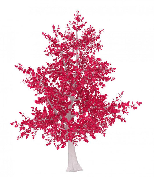 Red and White Tree