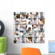 Veterinary Care Wall Mural