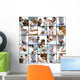 Veterinary Care Wall Mural