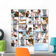 Veterinary Care Wall Mural