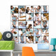 Veterinary Care Wall Mural