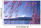 Mt.Fuji with cherry blossom Wall Mural