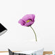 Poppy flower Wall Decal