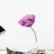 Poppy flower Wall Decal