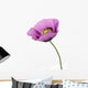 Poppy flower Wall Decal