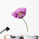 Poppy flower Wall Decal