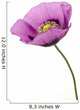 Poppy flower Wall Decal