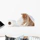 Kitten and Toilet Paper Wall Mural