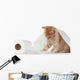 Kitten and Toilet Paper Wall Mural