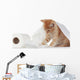 Kitten and Toilet Paper Wall Mural