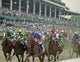 Fast Horse Race Wall Decal