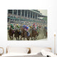 Fast Horse Race Wall Decal