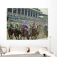 Fast Horse Race Wall Decal