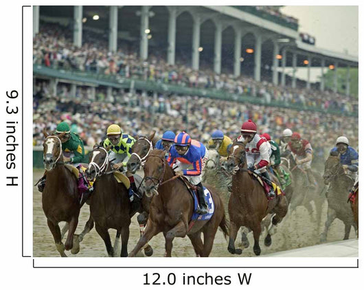 Fast Horse Race Wall Decal