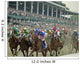 Fast Horse Race Wall Decal