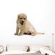 24162610 Wall Decal