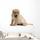 24162610 Wall Decal