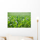 Corn Field Wall Decal Design 2