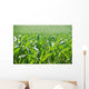 Corn Field Wall Decal Design 2