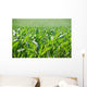 Corn Field Wall Decal Design 2