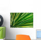 Up Yucca