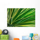 Up Yucca