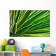 Up Yucca