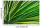 Up Yucca