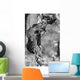 Vigne Wall Decal