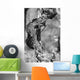 Vigne Wall Decal