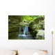 brook Wall Mural