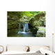 brook Wall Mural