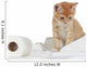 Kitten and Toilet Paper