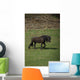Friezes Pasture Wall Mural