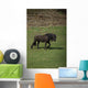 Friezes Pasture Wall Mural