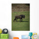 Friezes Pasture Wall Mural