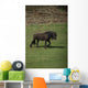 Friezes Pasture Wall Mural