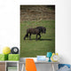 Friezes Pasture Wall Mural