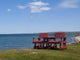Two Red Chairs Green