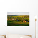 Village at sunset in Ukraine Wall Mural