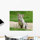 2 Month Baby White Tiger Wall Mural