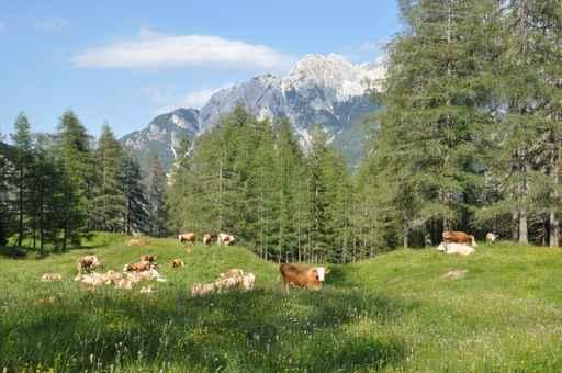 National Park Triglav Wall Decal
