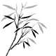 With Bamboo Branches