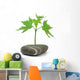 Maple Tree with Stone
