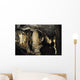 Cueva Postojna En Eslovenia Wall Decal