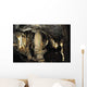 Cueva Postojna En Eslovenia Wall Decal