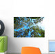 Tree Canopy